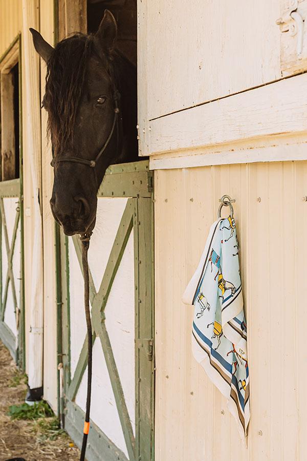 Impressions Hold Your Horses Satin Scarf