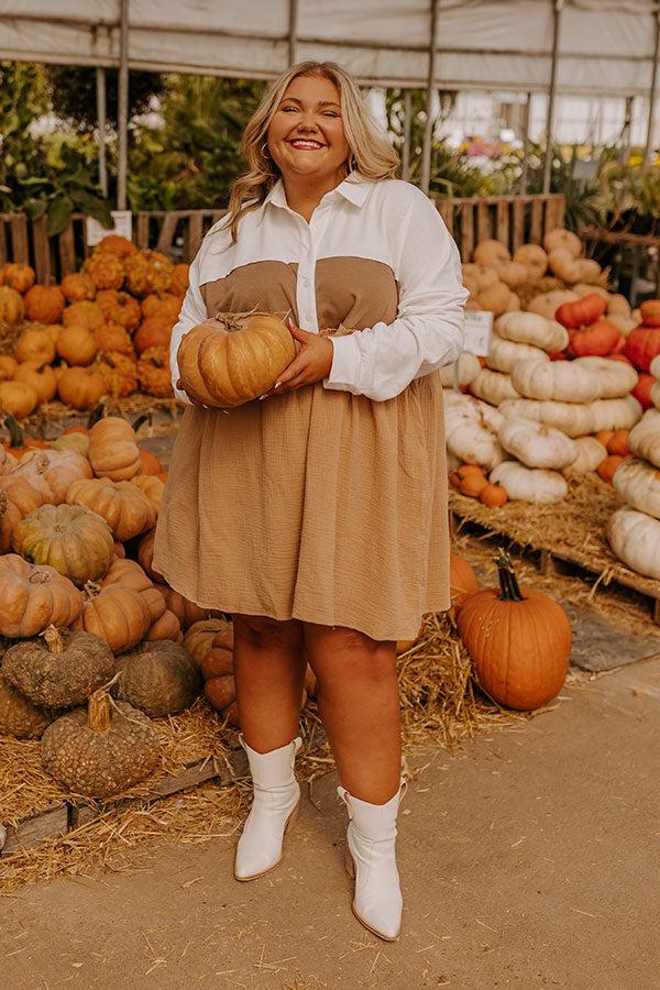 Impressions Maple Moments Color Block Mini Dress Curves